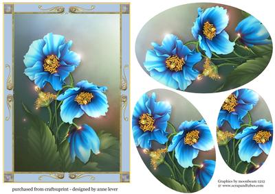Beautiful Framed Blue Poppies with Pyramage