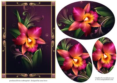 Beautiful Framed Romantic Orchid with Pyramage