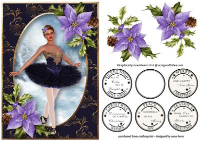 Beautiful Christmas Poinsettia Ballet
