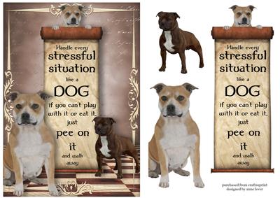 Handle Every Stressful Situation Like a Dog - bull Terrier