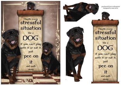 Handle Every Stressful Situation Like a Dog - rottweiller