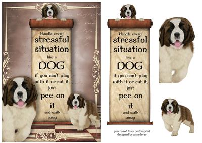 Handle Every Stressful Situation Like a Dog - st Bernard Pup