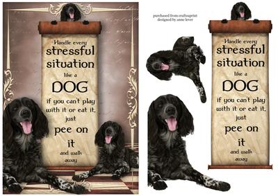Handle Every Stressful Situation Like a Dog - munsterlander