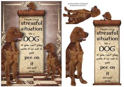 Handle Every Stressful Situation Like a Dog - red Setter