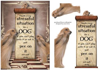 Handle Every Stressful Situation Like a Dog - afghan Hound