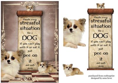Handle Every Stressful Situation Like a Dog - chihuahua