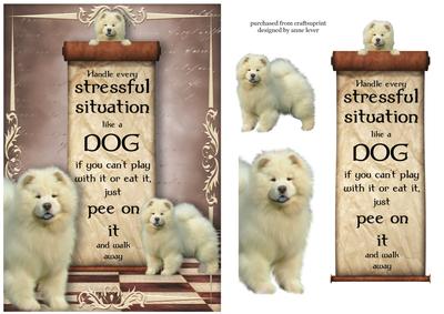Handle Every Stressful Situation Like a Dog - chow Chow