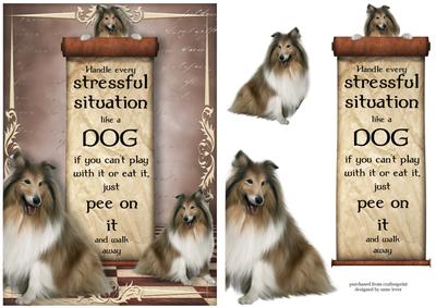 Handle Every Stressful Situation Like a Dog - collie
