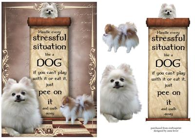 Handle Every Stressful Situation Like a Dog - pomeranian