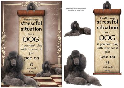 Handle Every Stressful Situation Like a Dog - poodle