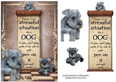 Handle Every Stressful Situation Like a Dog - schnauzer