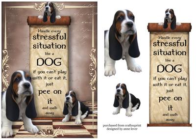 Handle Every Stressful Situation Like a Dog - basset Hound