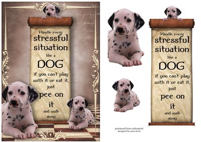 Handle Every Stressful Situation Like a Dog - dalmation