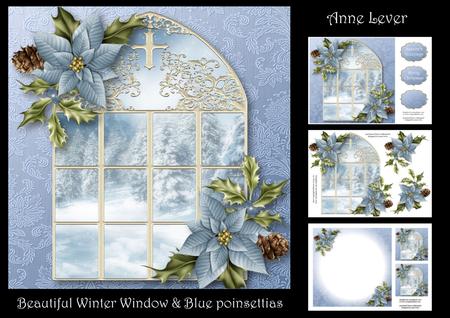 The Winter Window & Blue Poinsettias