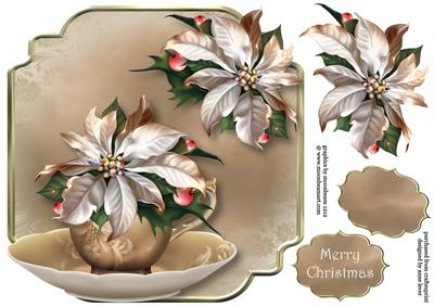 Teacup, Saucer & White Poinsettias