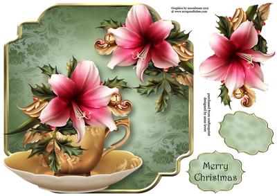 Teacup, Saucer & Deep Pink Festive Amaryllis