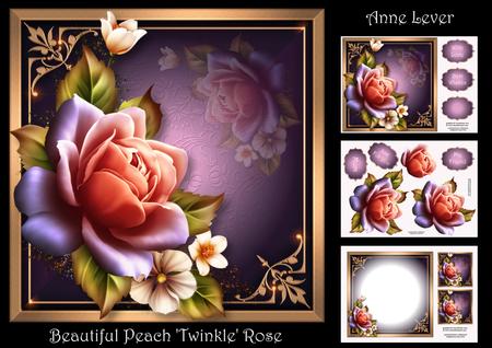 Beautiful Peach 'twinkle' Rose