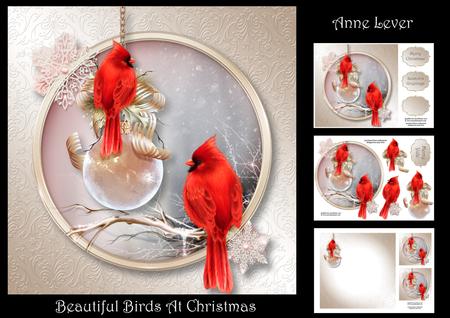 Beautiful Birds at Christmas