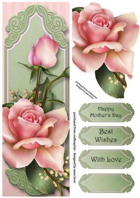 Gorgeous Pink Roses Large Dl