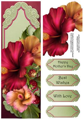 Beautiful Hibiscus Blooms Large Dl