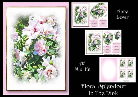Floral Splendour - in the Pink
