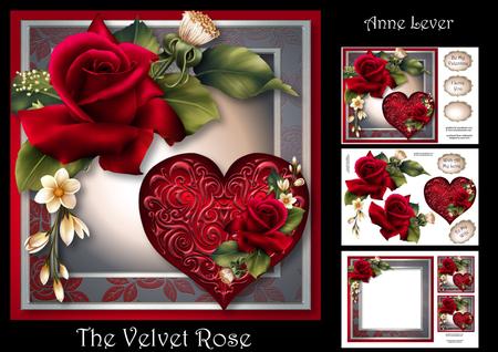 The Velvet Rose