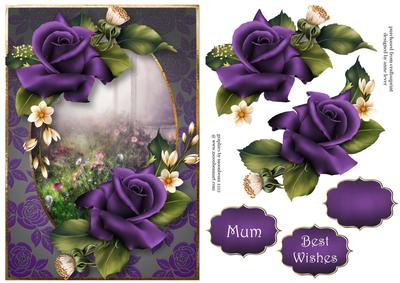 Purple Velvet Roses A5