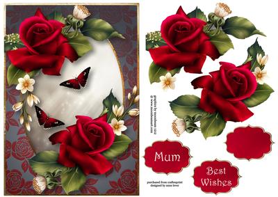 Red Velvet Roses A5
