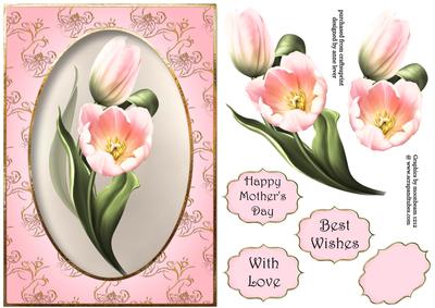 Pink Tulips