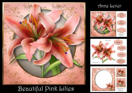 Beautiful Pink Lilies