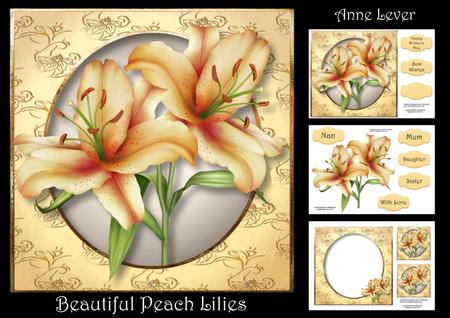 Beautiful Peach Lilies