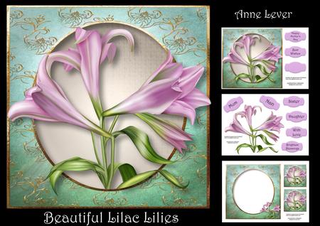 Beautiful Lilac Lilies