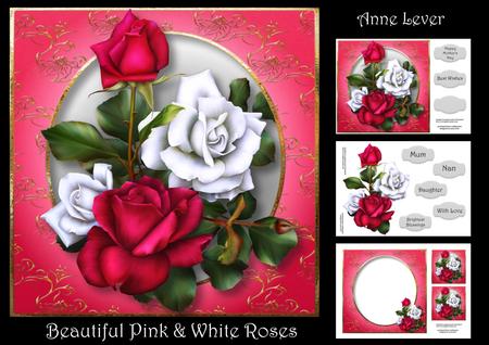 Beautiful Pink & White Roses