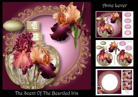 The Scent of the Bearded Iris