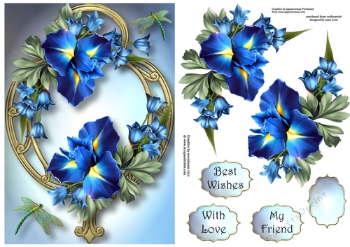 Beautiful Blue iris On Golden Frame A5