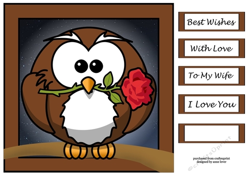 The Romantic Owl 8x8