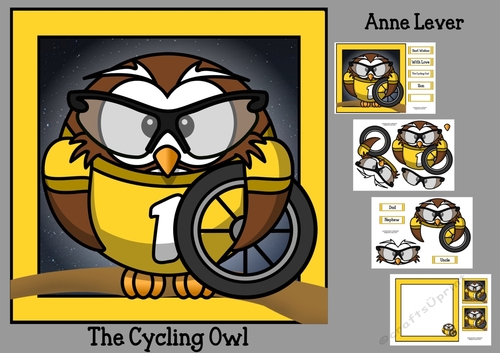 The Cycling Owl