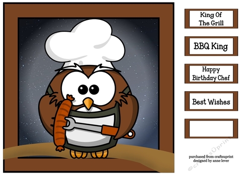 The Barbecue Chef Owl 8x8