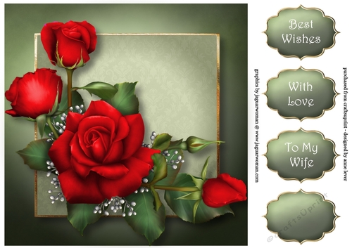 The Red Roses 8x8