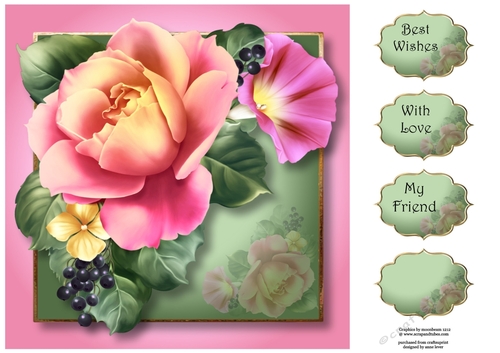 Beautiful Summer Rose 8x8