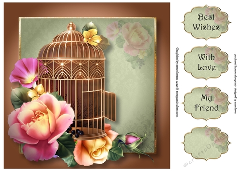 Vintage Birdcage & Roses 8x8