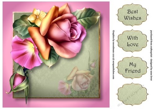 Gorgeous Blended Roses 8x8