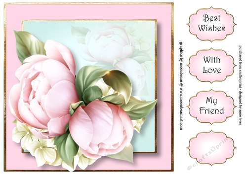 Pale Pink Peony 8x8
