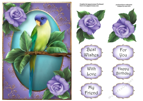 Pretty Parakeet & Roses A5