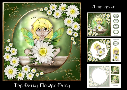 The Daisy Flower Fairy