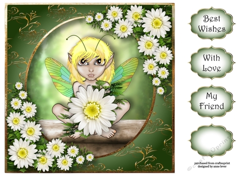 The Daisy Flower Fairy 8x8