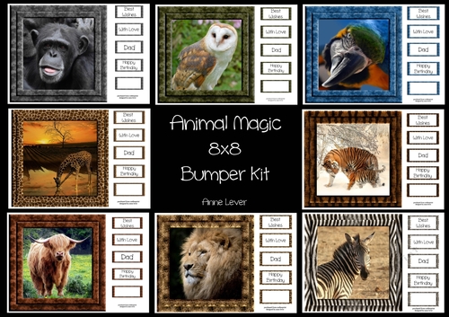 Animal Magic 8x8 Bumper Kit