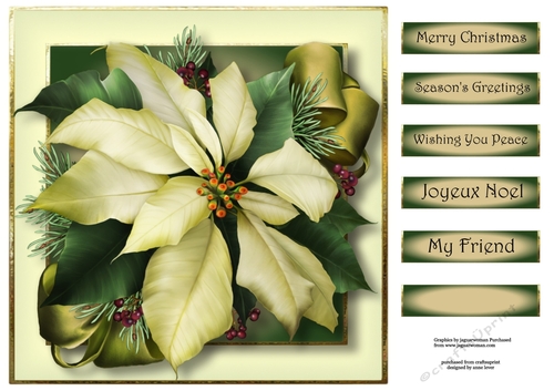Ivory Poinsettia 8x8 