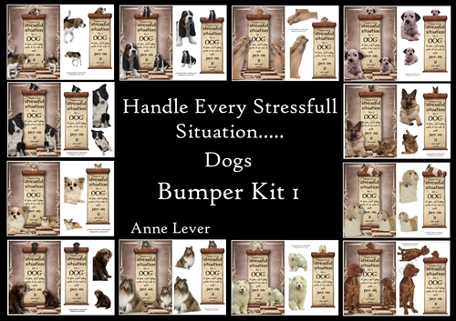 Handle Every Situation Like A Dog.... Bumper Kit 1