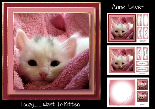 Today.....I Want To kitten